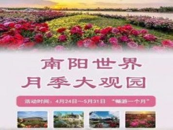 第十二届南阳月季花会4月29日开幕，活动丰富多彩