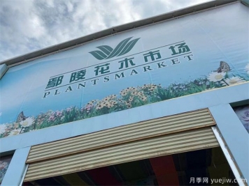 鄢陵县花木产业未必能想到的那些问题
