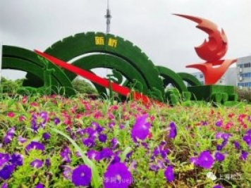 上海松江这里的花坛、花境“上新”啦!特色景观升级!
