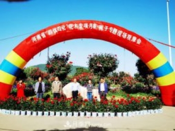河南省四优四化项目 助推南阳月季、栀子产业发展