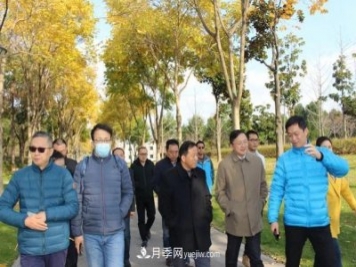 提升城市园林绿化，苏州向上海学什么？